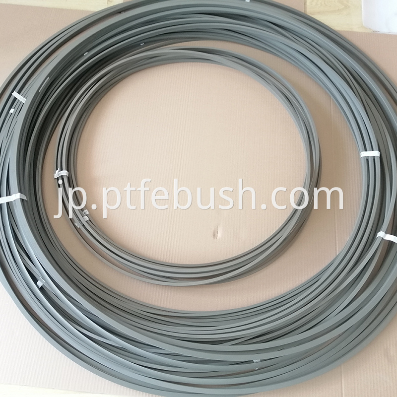 Big Ptfe Seal 10